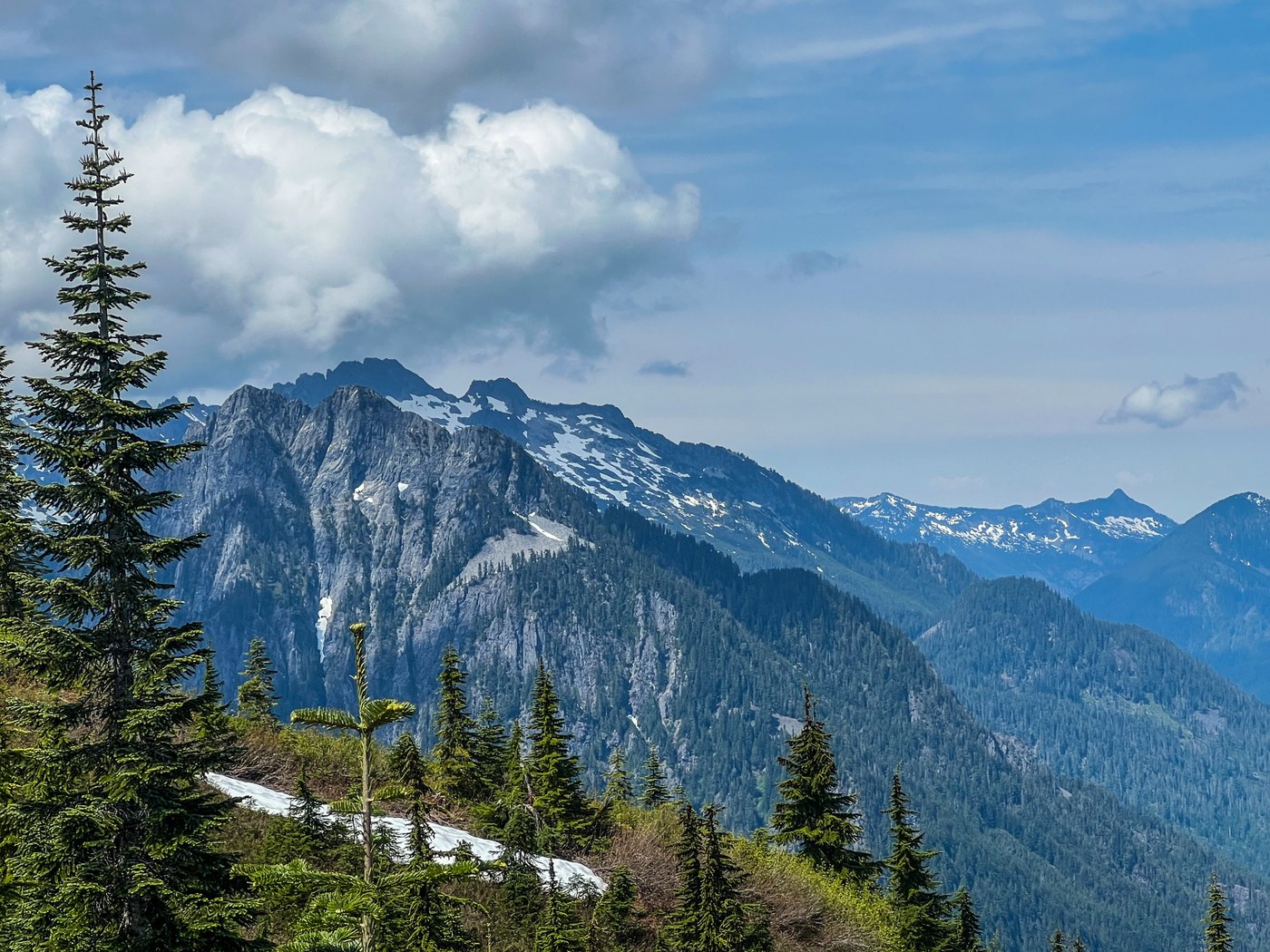 Frog Mountain — Washington Trails Association